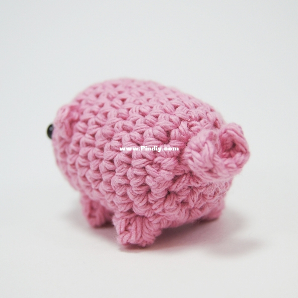 Piglet_4_square.jpg