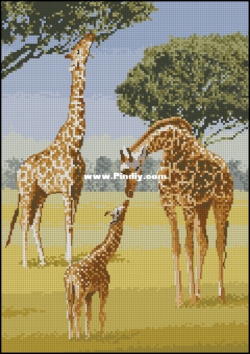 Heritage PGGI1023_Giraffes.jpg