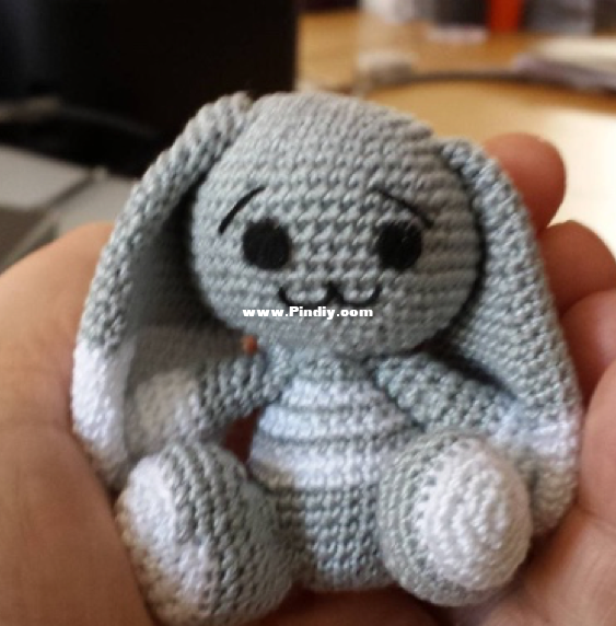 bunny.png