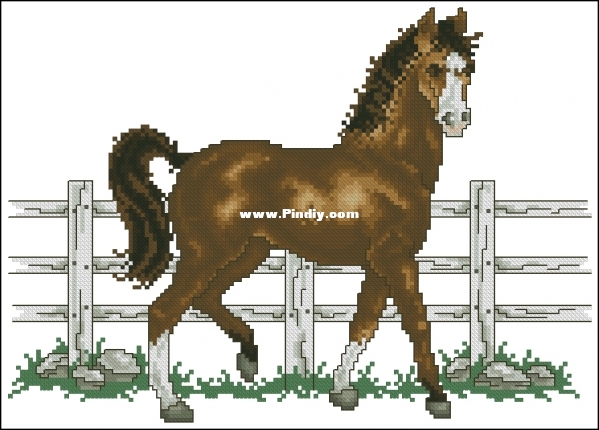 SC B032 - Whiskers and Friends - Sugar.jpg