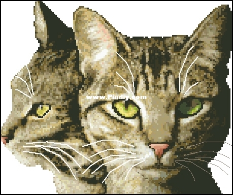 Cross_My_Heart_CSB-245_Brown_Tabby_Cats.jpg