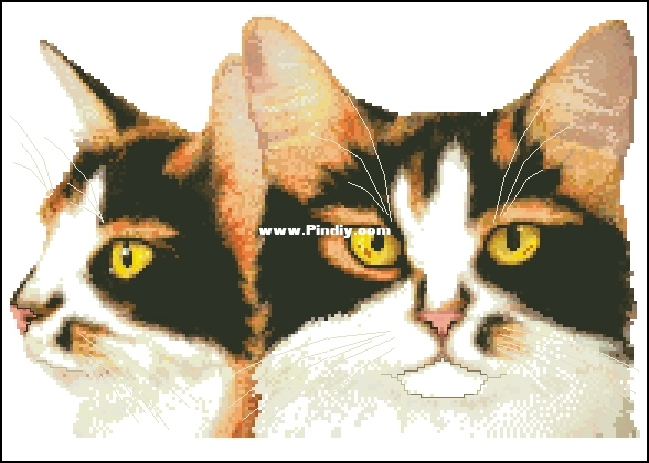 Cross my heart_Calico  Cat.jpg