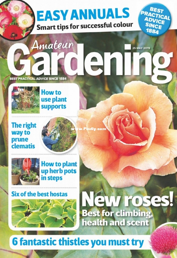 Amateur Gardening - 25 May 2019.jpg