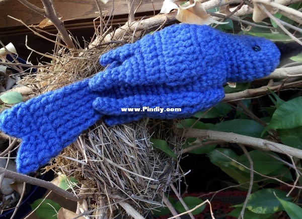 bluebird_nest.jpg