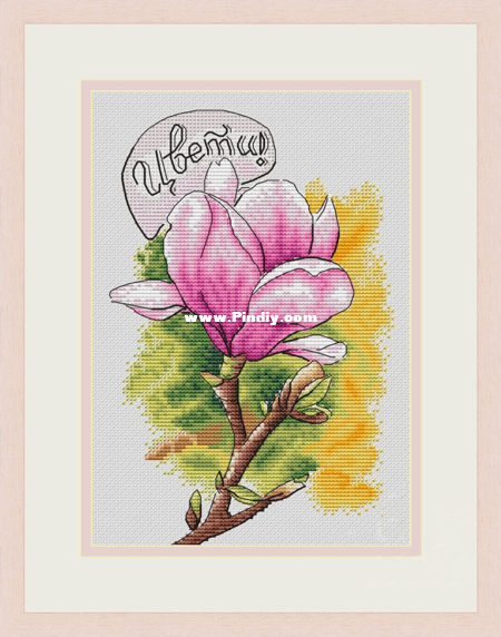 Magnoliya.png