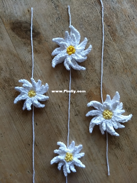 Edelweiss Flower - Vera Matrebo.jpg