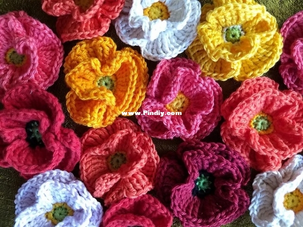 Poppy Flower - Vera Matrebo_2.jpg