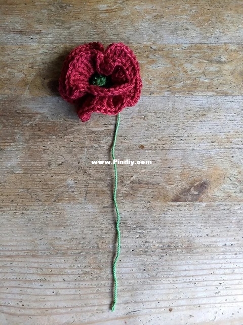 Poppy Flower - Vera Matrebo_1.jpg