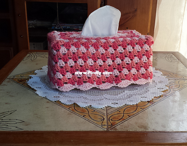 tissue_box_cover_medium2.png