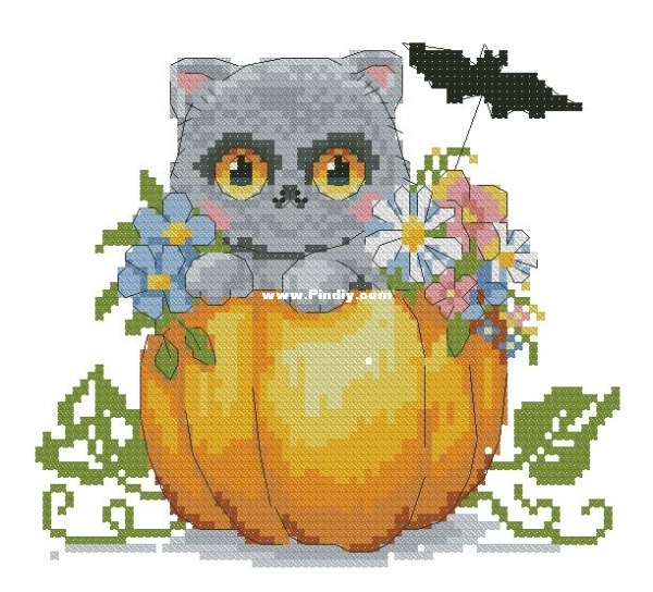 Merejka - Cat Haloween 2.JPG