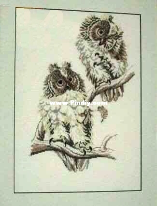 Pako 235.314 OK Two Owls.jpg