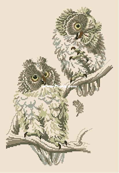 Pako 235.314 OK XX.JPG