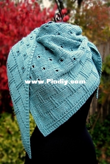 Caine shawl