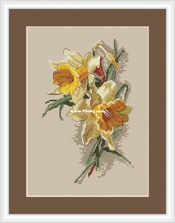 Paradise Stitch - Narcissus by Olga Lankevich.jpg