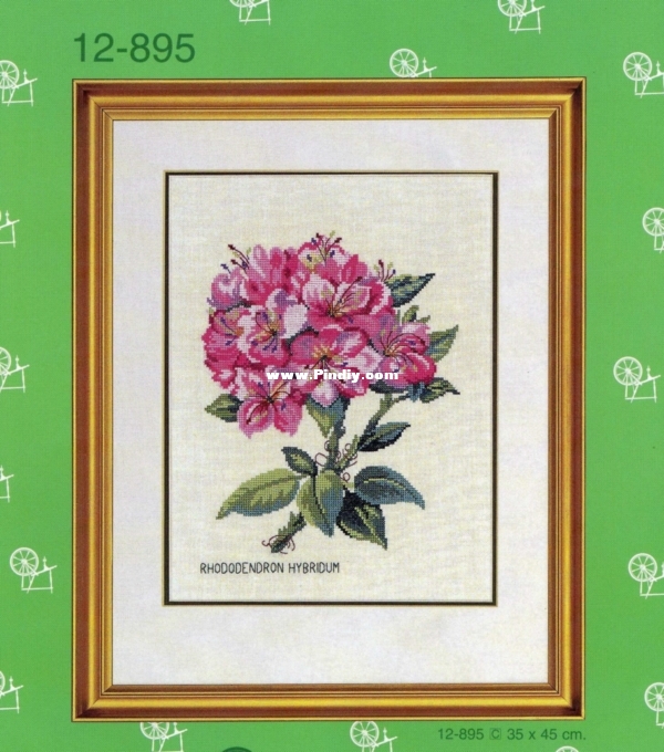 ER 12-895 OK Pink Rhododendron22.jpg
