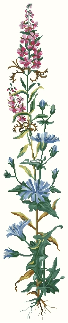 ER 13-296 OK XXX.JPG