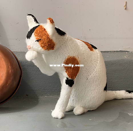 cat3.png