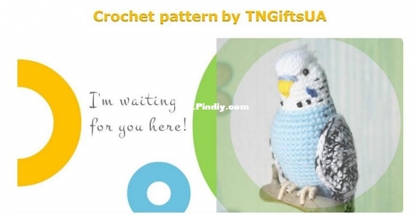 TNGiftsUA-NovohackaTania-Crochet Parrot.jpg
