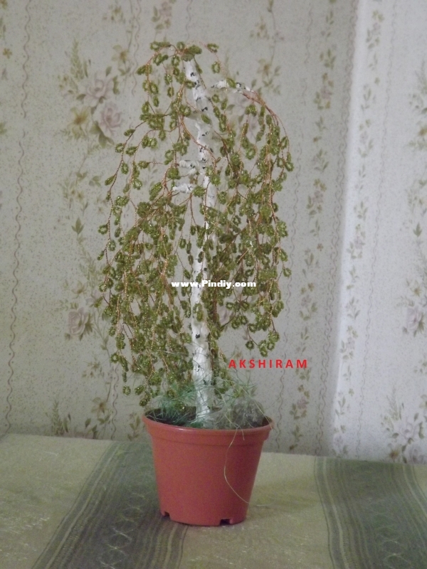 DSCF2333.JPG