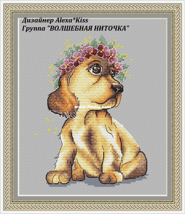 Puppy.jpg