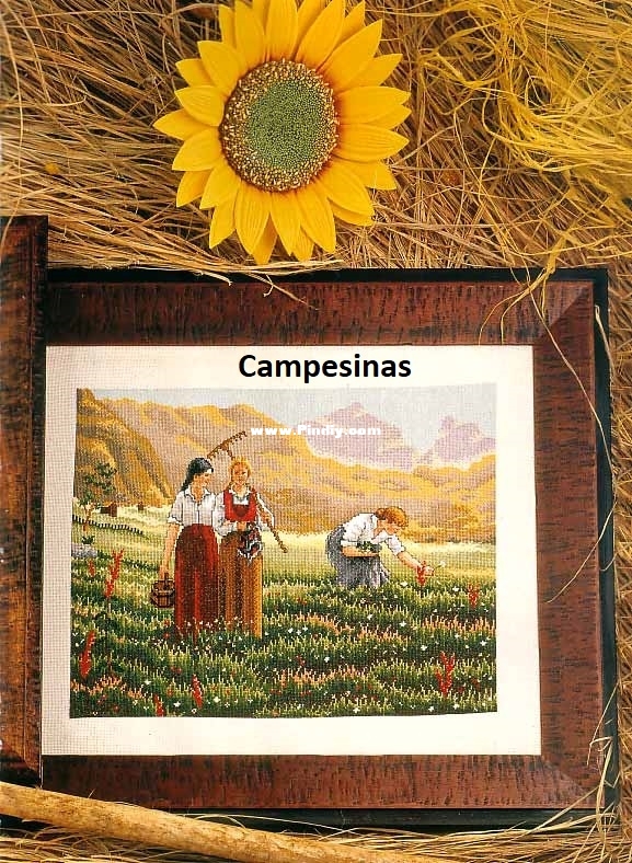 pag.29.jpg