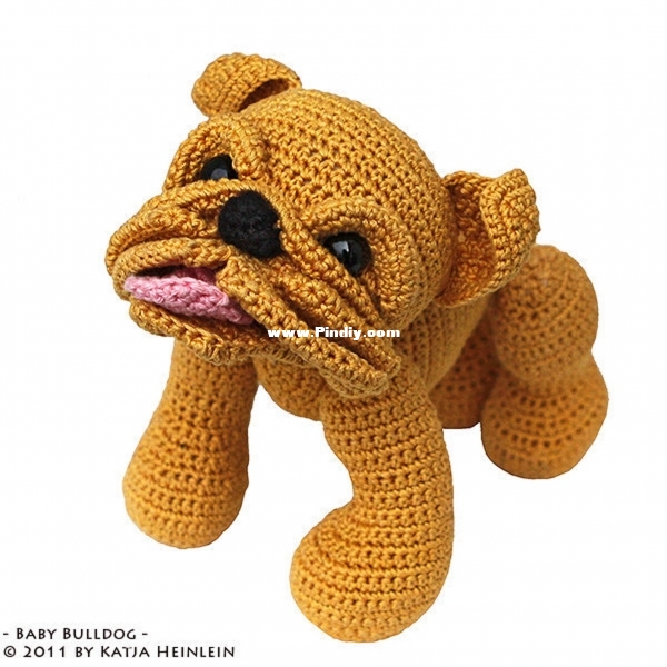 Katja Heinlein - Baby Bulldog.jpg