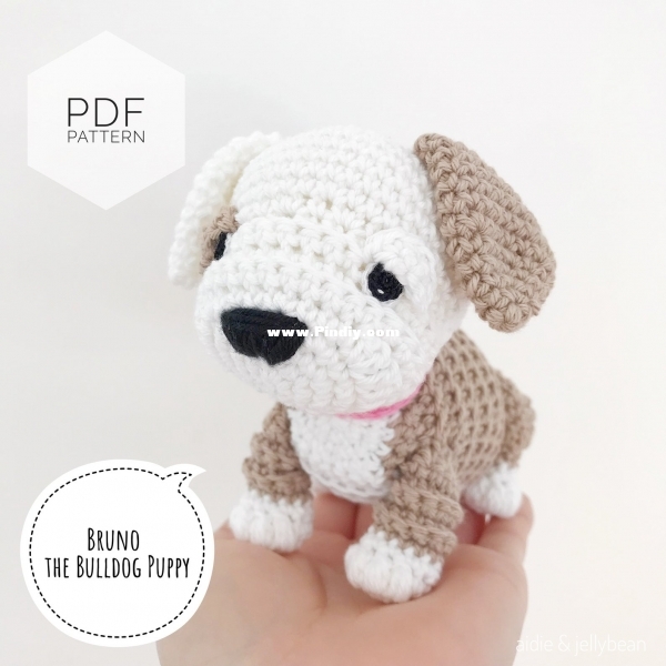 Bruno the Bulldog Puppy - Aidie and Jellybean.jpg