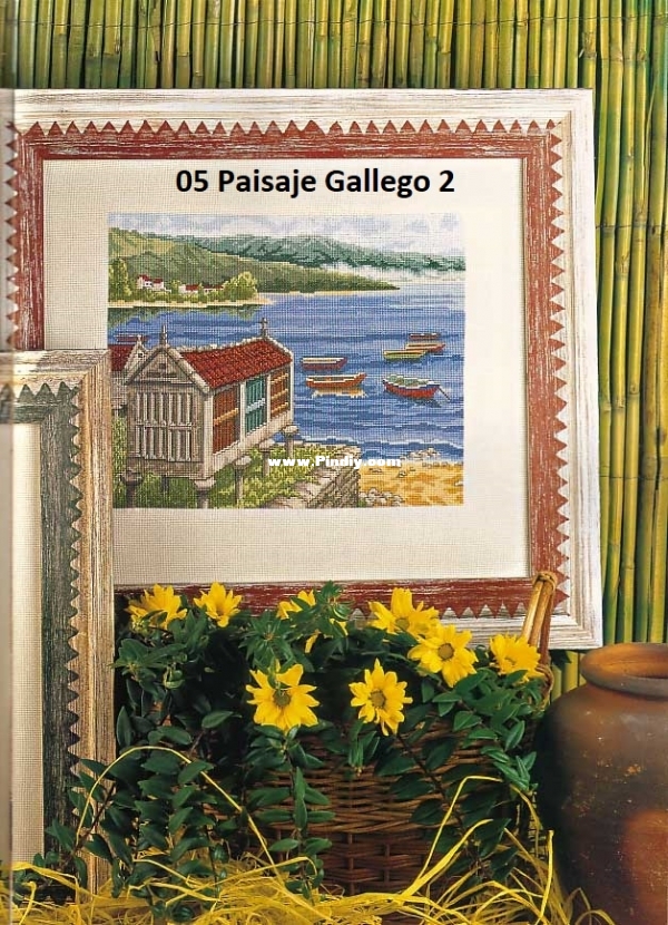 pag.5.jpg