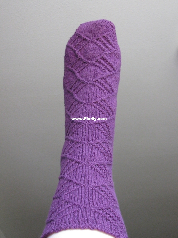 Professor_Sock_6.jpg