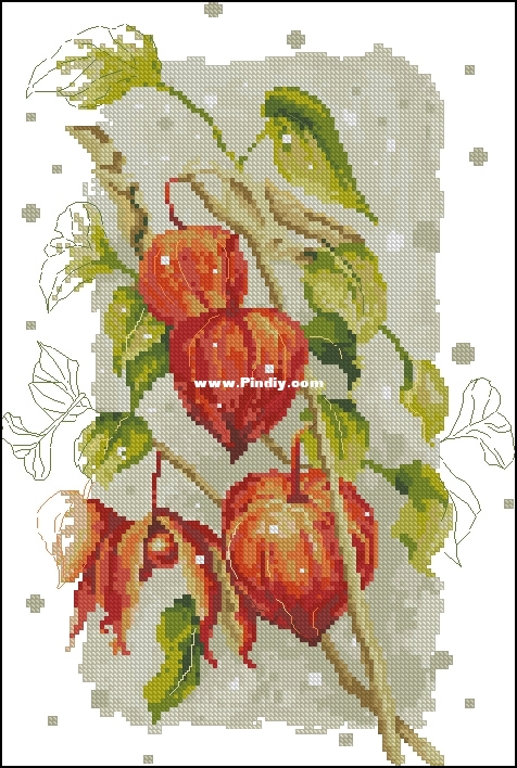 HP10190 - Autumn Ground Cherry.jpg