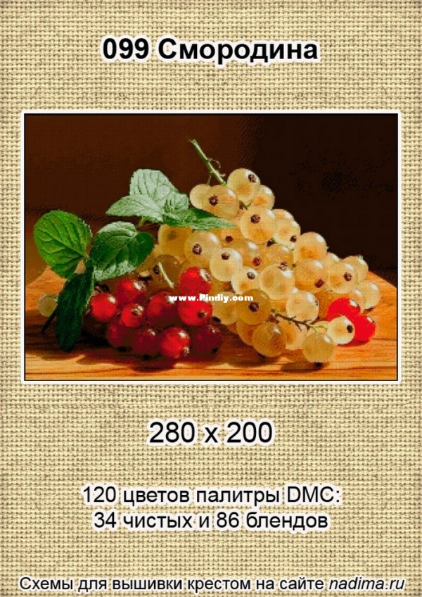 099 Смородина 2.jpg