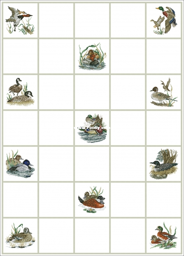 SCC 1991 - Wings Of The Wild  Afghan.jpg