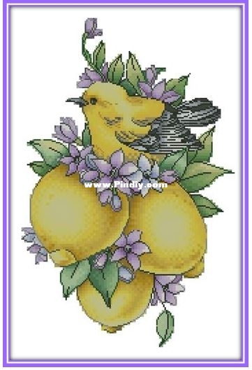 Svetlana_Sichkar_Birdie_with_Lemons .JPG