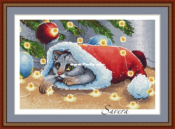 01 - NG kitten.jpg