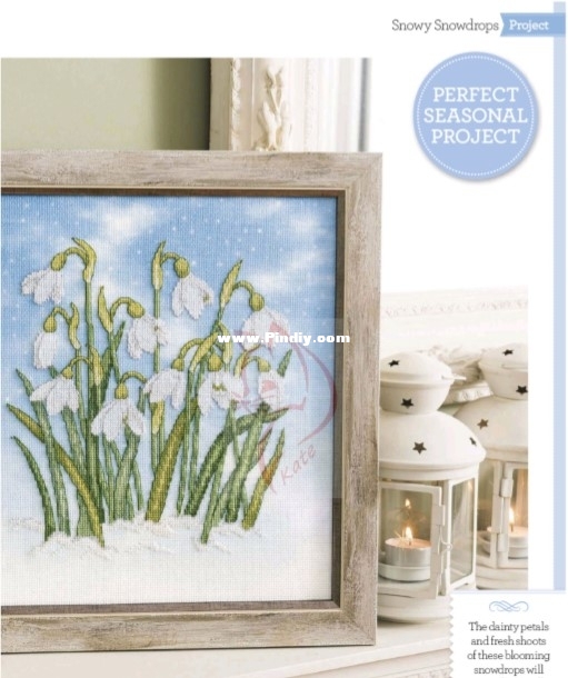 24 - Snowy Snowdrops.jpg
