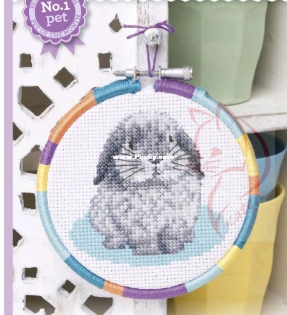 80 - Pet of The Month.jpg