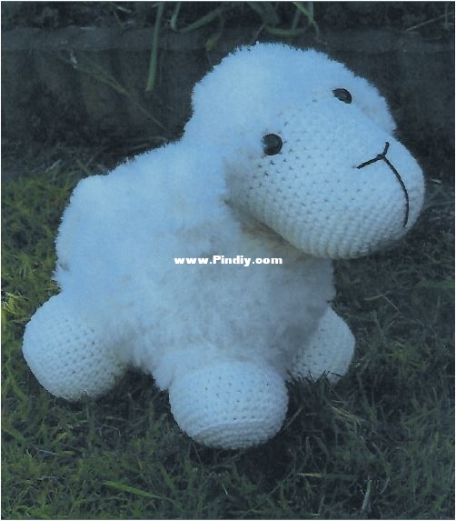funny sheep.JPG