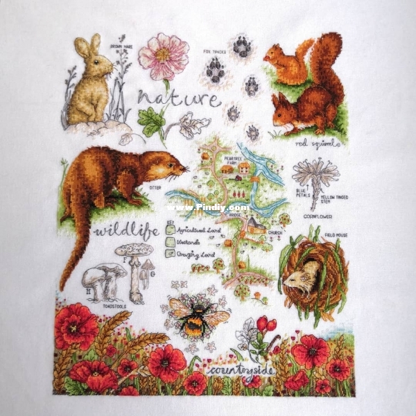 Anchor PSC51 OK Wildlife and Nature Sampler.jpg