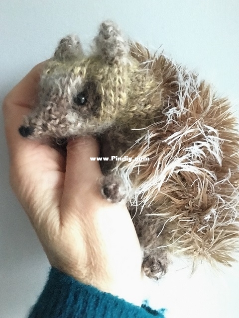 Claire Garland-Hedgehog.2019-12.jpeg