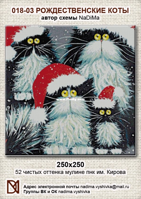 018-03 Nativity Cats.jpg