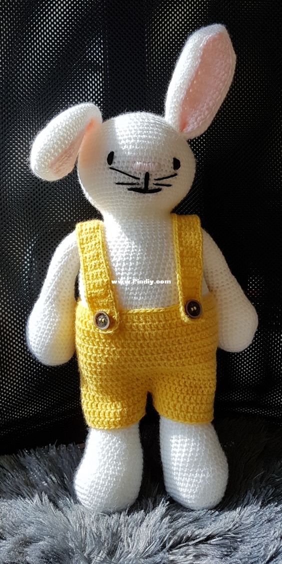 Rikki from Dutch book stories