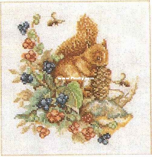 LA 29421 OK Forest Squirrel.jpg