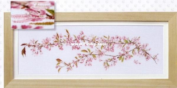 TG 0481 - Prunus.jpg