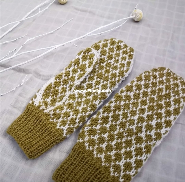 81872269_459015741667552_5842510696411037696_n (1).jpg