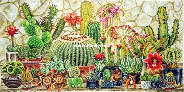 Cactuses 11.002.11.jpg