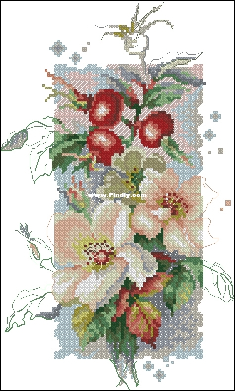 100-102 Rosa Canina xsd.jpg