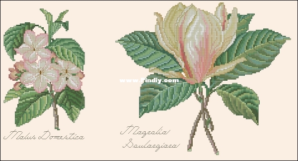 The Lilac Studio 31 - Magnolia &amp; Apple Blossom.jpg