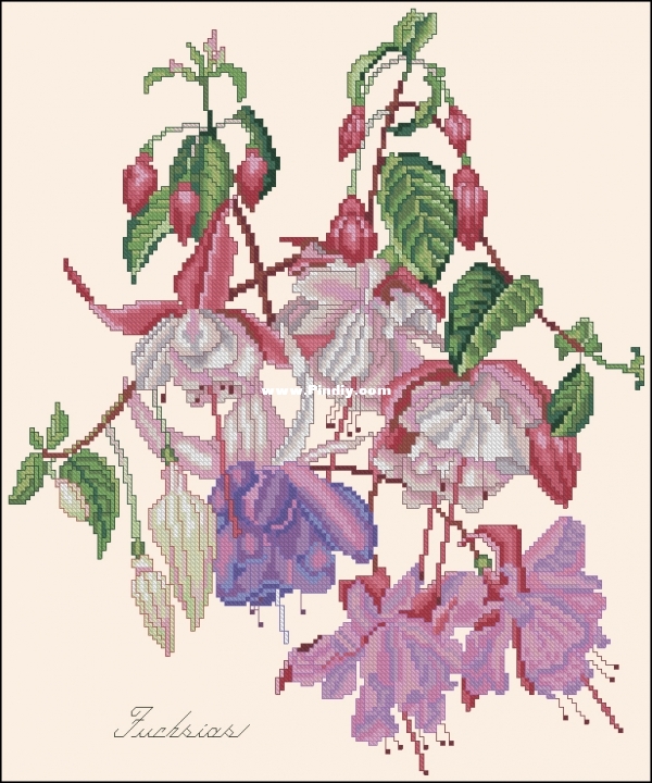 The Lilac Studio 38 - Fuchsias.jpg