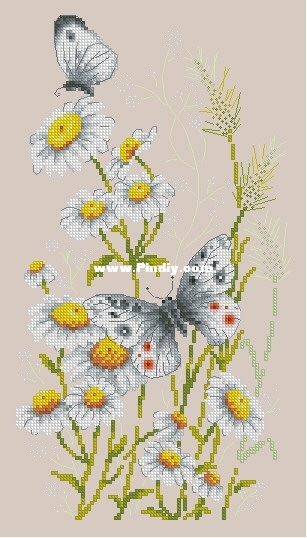 ChIgla 42-12 OK XXX.JPG