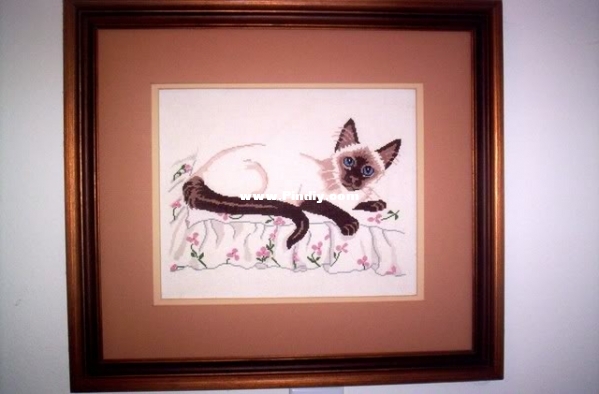 Siamese.jpg